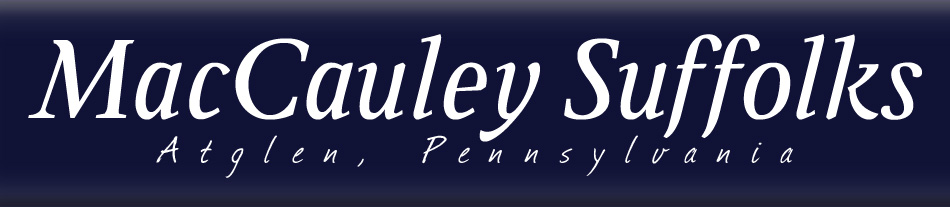 MacCauley Suffolks