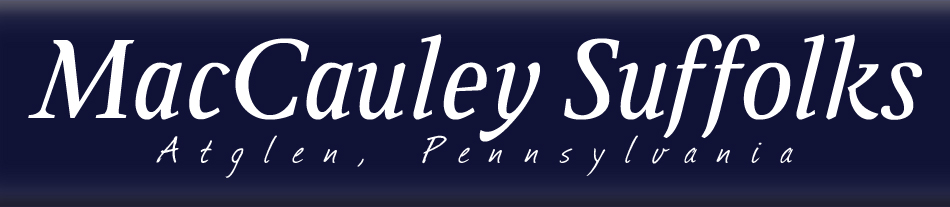 MacCauley Suffolks