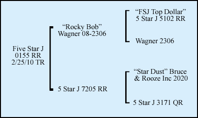 Five Star J 0155