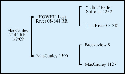 MacCauley 2142