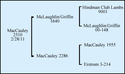 MacCauley 2510