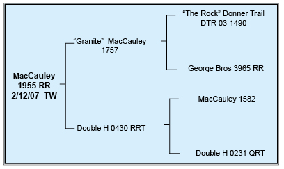 MacCauley Suffolks