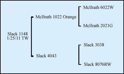 Slack 1148